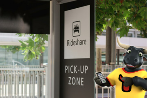The Importance of Informing Your Provider About Rideshare Insurance