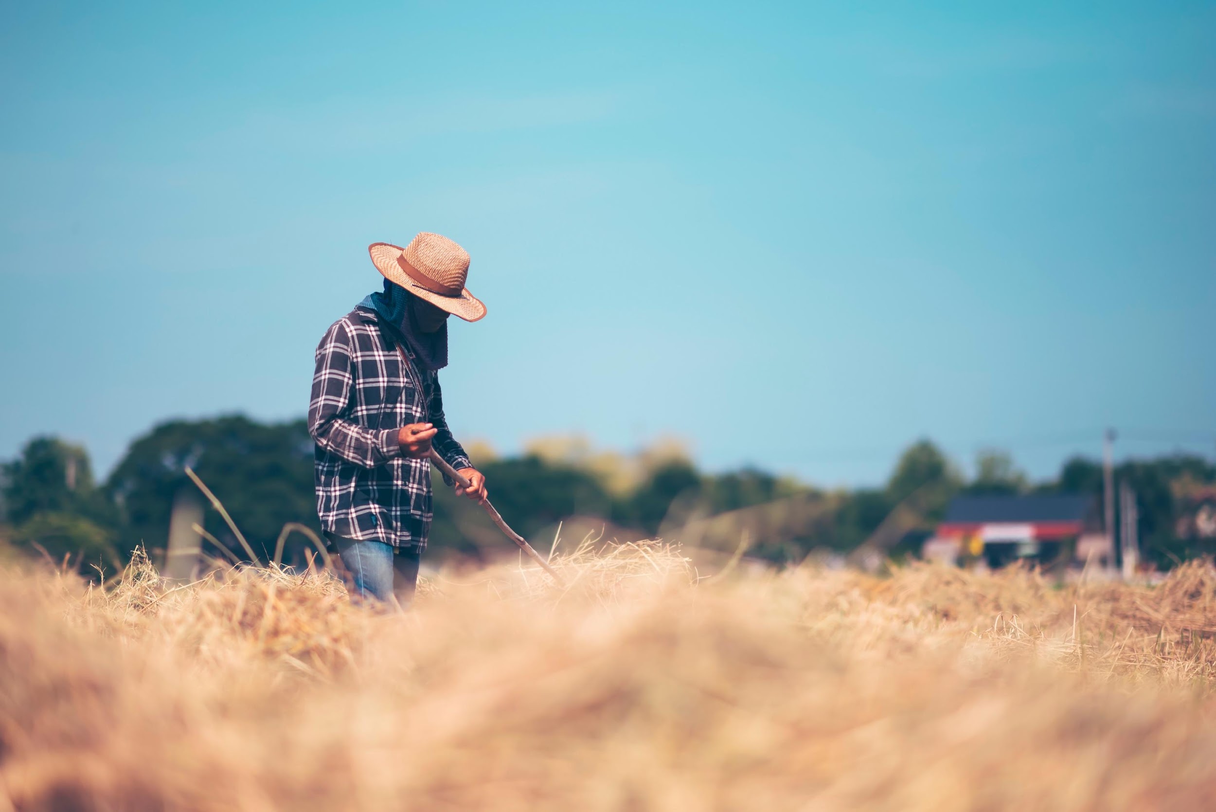 Farmers Insurance Florida